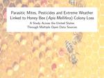 DMS Statistics and Data Science Seminar